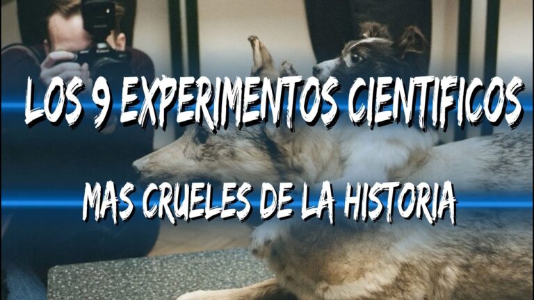Los experimentos más crueles de la historia: ¿Hasta dónde llegó la crueldad humana?