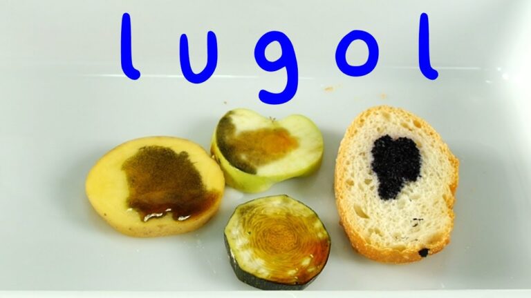 Descubre los efectos sorprendentes del experimento Lugol
